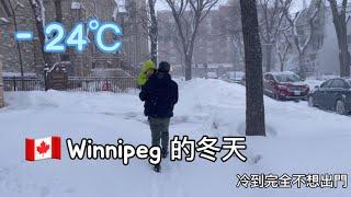 零下漫長的冬天|分享申請曼省省提名MPNP|加拿大超市找到台灣商品| Winnipeg Vlog8