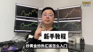 炒黄金炒外汇怎么入门？新手教程（附全套资料）