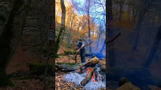 1 year ago#bushcraft #nature #survival #camping #طبیعت #سفر #mountains #یوتیوب #shorts