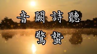 音闕詩聽 驚蟄 《雲上春至啼聲驚蟄》【動態歌詞Lyrics】中文音樂MV創作 Chinese Songs with English Pinyin Lyrics