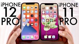 iPhone 12 Pro Vs iPhone 11 Pro! (Comparison) (Review)