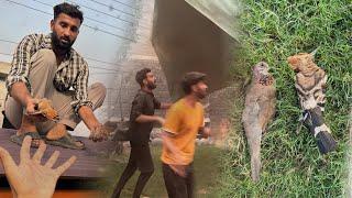 Toofan Ki Wja Se Bechare Parindy Mar GaiyHmara Baby Rabbit Bhi Hmen Chor K Chla Gea