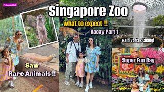 Had Super Fun at Singapore Zoo | Saw Rare Animals !! Changi Rain Vortex n more | Perkymegs Hindi