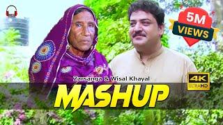 Pashto New Mashup Song | Zarsanga & Wisal Khayal | HD Full Video