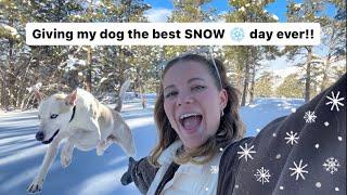 Taking my dog to see SNOW for the first time in 2 years!! ️️