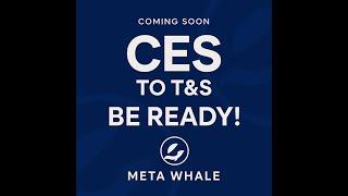 22/06/2025 META~WHALE FULL PLAN PRESENTATION BY ANURAG ARYA