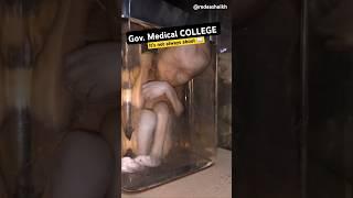 College Life in Government Medical College | It's not always about  #shorts #neet #class12  #mbbs