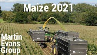 Maize 2021 - Martin Evans Group