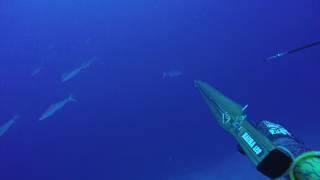 JOINTS SPEARFISHING TAHITI - ANOTHER CRAZY ADVENTURE IN RANGIROA - TUAMOTU - FRENCH POLYNESIA