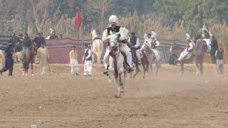 Nawab Malik Atta Faisalabad - International Tent Pegging - UAF