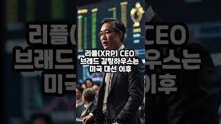 리플 CEO "리플(XRP) 미 대선 이후 최대 성과낸 가상자산 중 하나"