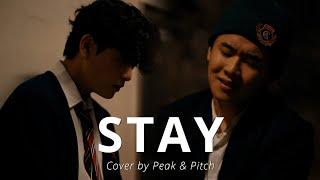 STAY - The Kid LAROI, Justin Bieber[Cover by PEAK & PITCH]