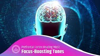 Focus-Boosting Tones for Mental Clarity & Anxiety Relief | Prefrontal Cortex Healing Music