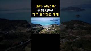 가격 포기하고 팝니다.바다 보이는 땅~평당3만원 경매보다 싸다~약2,875평[땅지통]