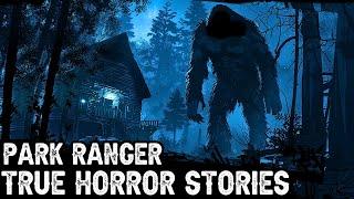 15 TRUE Creepy Park Ranger Horror Stories Told In The Rain (Dogman,Sasquatch,Wendigo...)