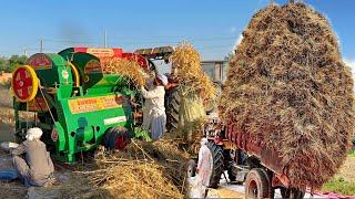 How Farmers Use Machines to Harvest and Threshing Million tons of Wheat in Village