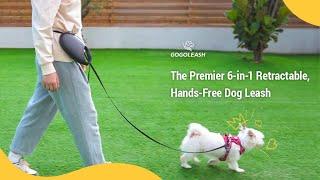 GoGoLeash: Premier 6-in-1 Retractable, Hands-Free Dog Leash – A Game Changer!