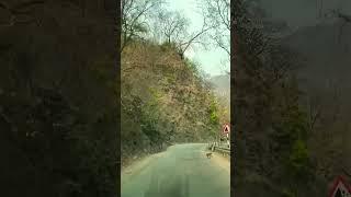 Hamara Uttarakhand ️#uttarakhand #nainital #mountains #travel #nature #beautiful #shorts