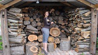 I Built a TINY Log Barn in My Backyard for CHEAP!