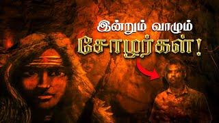 The Real Chola Family | இன்றும் வாழும் சோழர்கள்!  ஆதாரங்களுடன்! Last Chola King History in Tamil