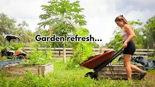 GARDEN VLOG l Those weeds ain’t gonna pull themselves… Getting my garden ready for Fall #fallgarden