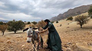 Salih’s Nomadic Journey: Collecting Firewood for Winter & Helping His Mother Bring It to the Village