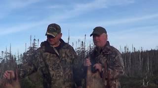 20 pt Newfoundland Bull Moose with Jordan Locke