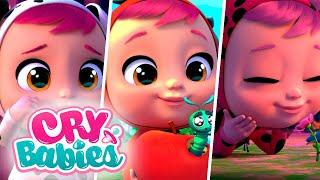 მეგობრობის დრო | CRY BABIES  MAGIC TEARS  მულტფილმები ბავშვებისთვის ქართულად