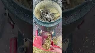 Innovative Feed Pellet Machine with Inclined Rollers for Balanced Pressure and Extended Durability