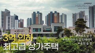 3억을 인하한 펜트하우스급 상가주택 통매, 실 투자금 4억 건물주 프로젝트