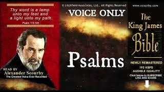 19 |  PSALMS  { SCOURBY AUDIO BIBLE KJV } "Thy Word is a lamp unto my feet"  Psalm: 119-105