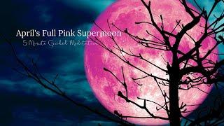 April's Full Pink Supermoon | Connect with Your Inner Strength & Wisdom | 5 Minute Guided Meditation