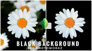 Black background in snapseed | Dark portrait editing