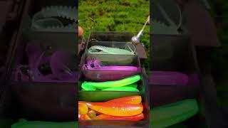 Do you like this Soft bait kit?#fishingtackle #fishinghook #softlure