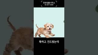고의, 미필적 고의, 과실의 아주 간단한 차이