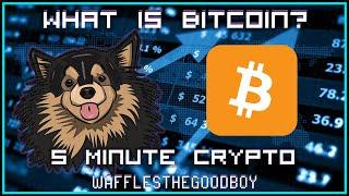 What Makes a Bitcoin a Bitcoin?