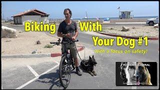 Biking With Your Dog - The "How To Video" - Dog Training and Safety