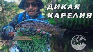 ДИКАЯ РЫБАЛКА В КАРЕЛИИ/ РУЧЬЕВАЯ ФОРЕЛЬ /TROUT FISHING Karelia