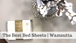 What Are The Best Bedsheets? | Wamsutta Dream Zone Sheets Review