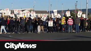 Brampton transit and many other key services impacted by city strike