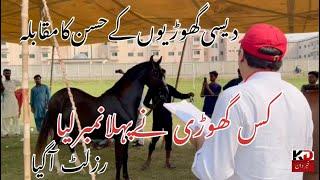 Mares Show 2024 Agricultural University FSD by IHB || First position mare پہلےنمبرکی گھوڑی