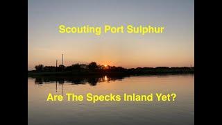 Scouting Port Sulphur Are The Specks Inland Yet