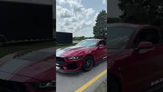 2025 Shelby Super Snake  #Ford #Shelby #Supersnake #Mustang Video: Marcus Cervantes