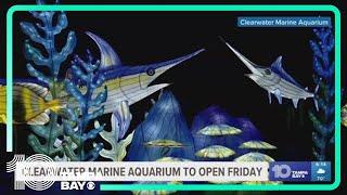 Clearwater Marine Aquarium reopening with new light show