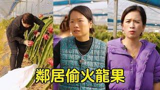 鄰居偷貞家火龍果，貞貞本想討回公道卻被婆婆阻攔，沒想到鄰居前來送錢才知是誤會！【贞贞的英雄】