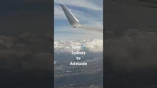 1min️ SYD-ADL #sydneyairport #plane #travel #aviation #qantas #flight #adelaide #aviation #boeing