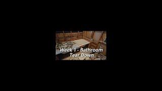 Week 1 - Bathroom Tear Down - QLD