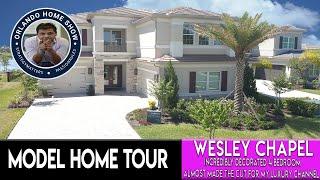 Inside A Beautiful Builder Model In Wesley Chapel | Gas/Gated Community | No CDD!