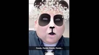 Panda Panda Panda Panda - Mr. Cristea - Snapchat