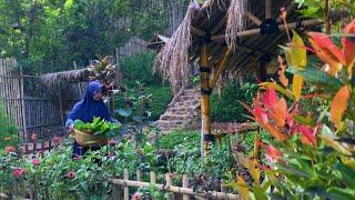 Simple & delicious village cooking | everything is in the garden | Living in the Village